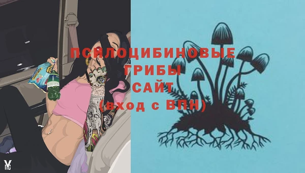 тгк Вязники